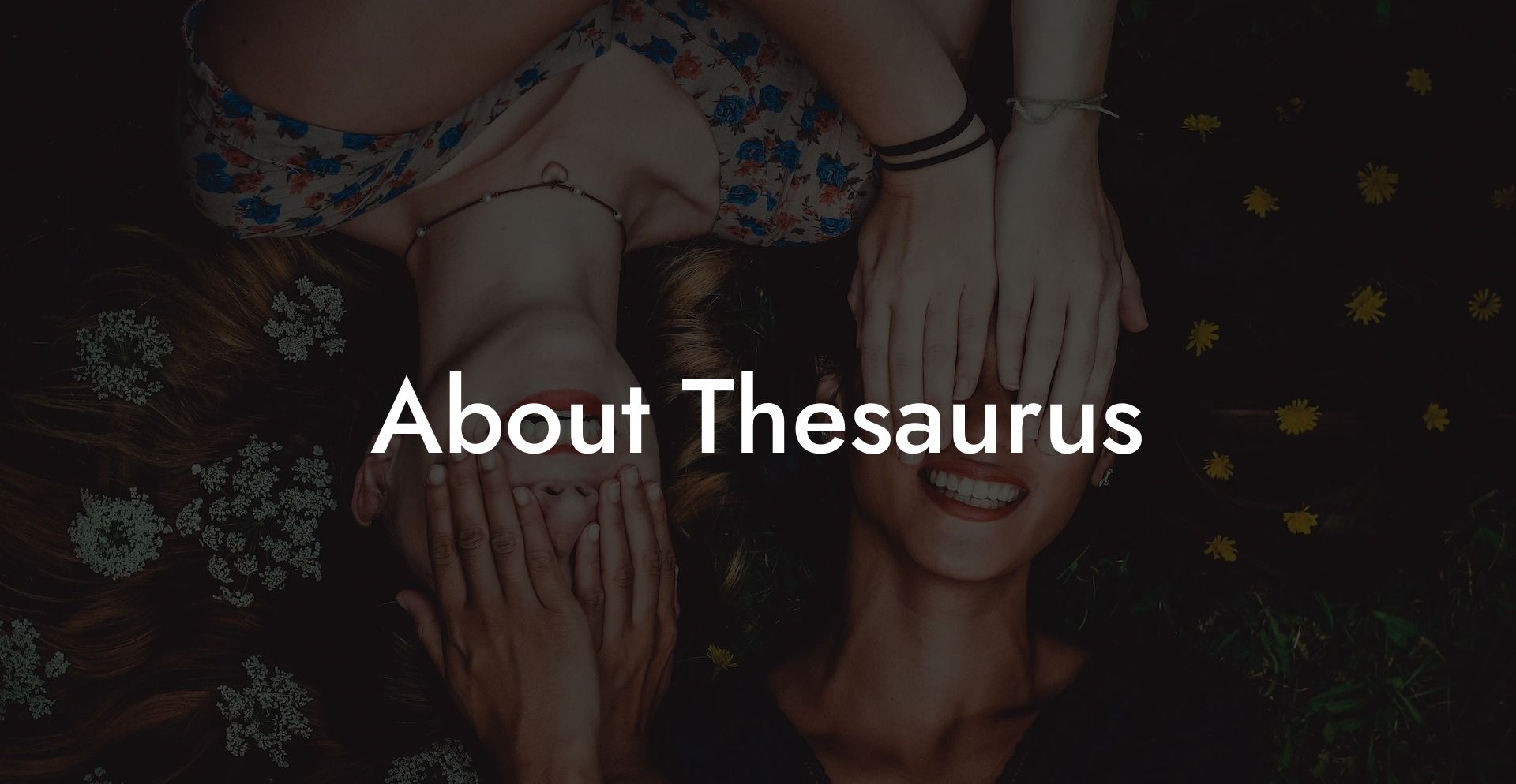 About Thesaurus