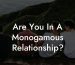 Are You In A Monogamous Relationship?