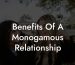 Benefits Of A Monogamous Relationship