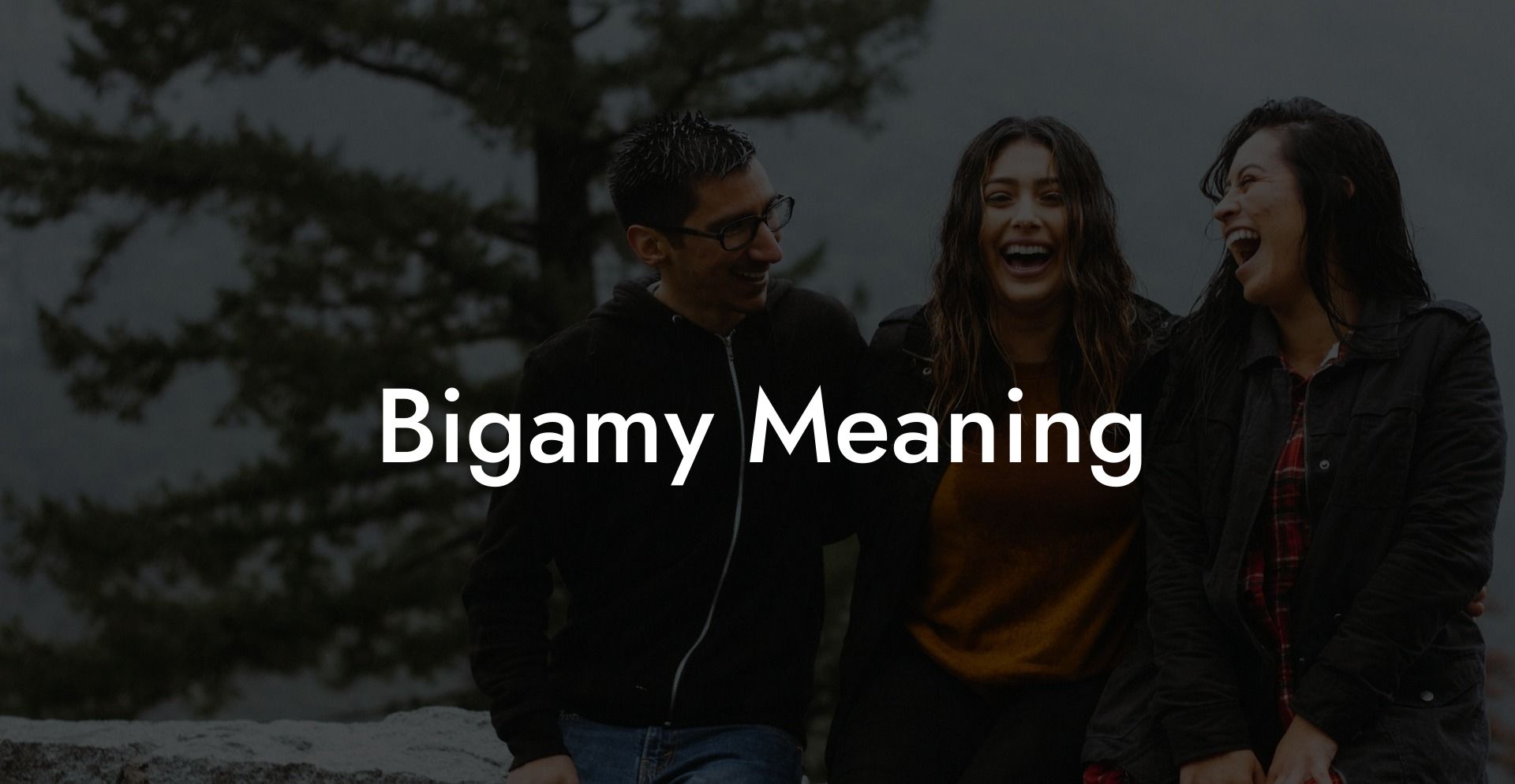Bigamy Meaning