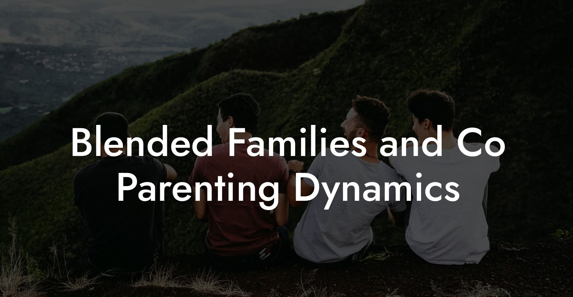 Blended Families and Co Parenting Dynamics