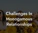 Challenges In Monogamous Relationships