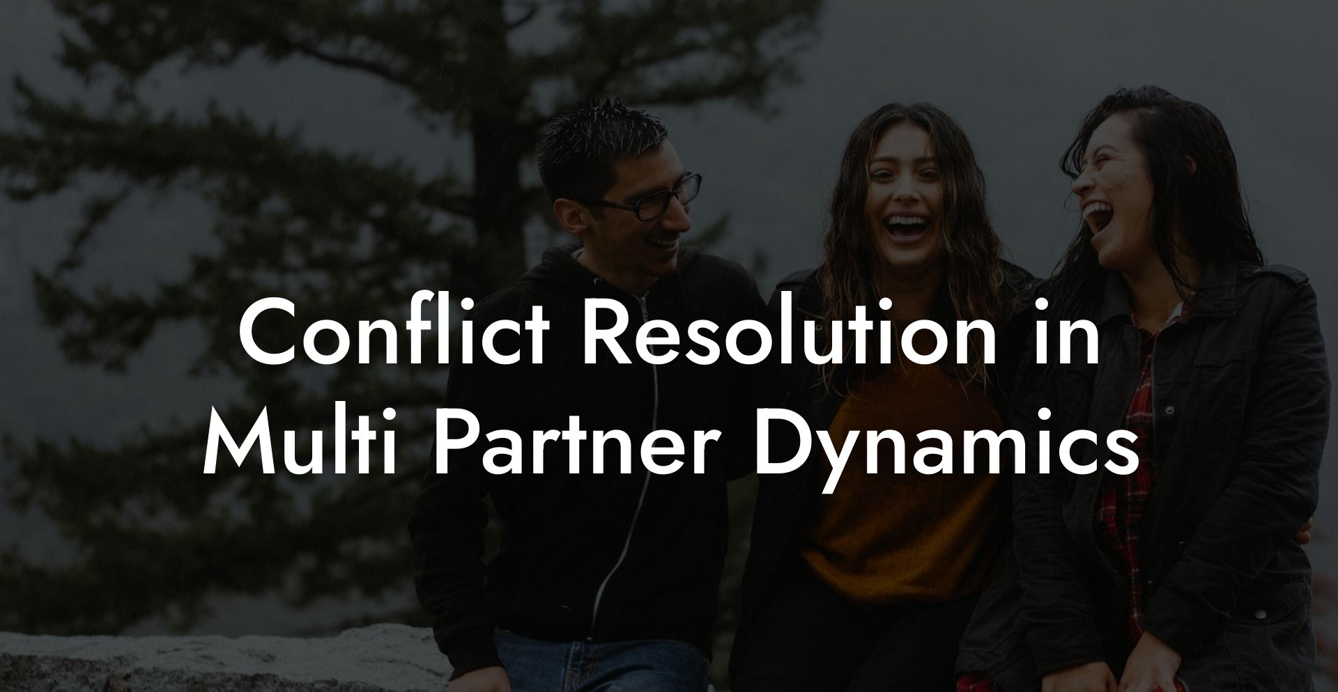 Conflict Resolution in Multi Partner Dynamics