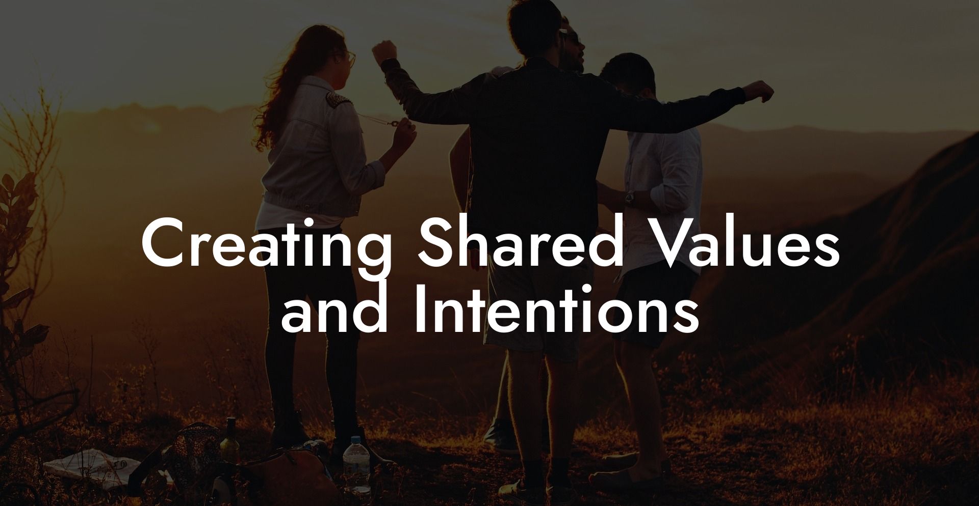 Creating Shared Values and Intentions