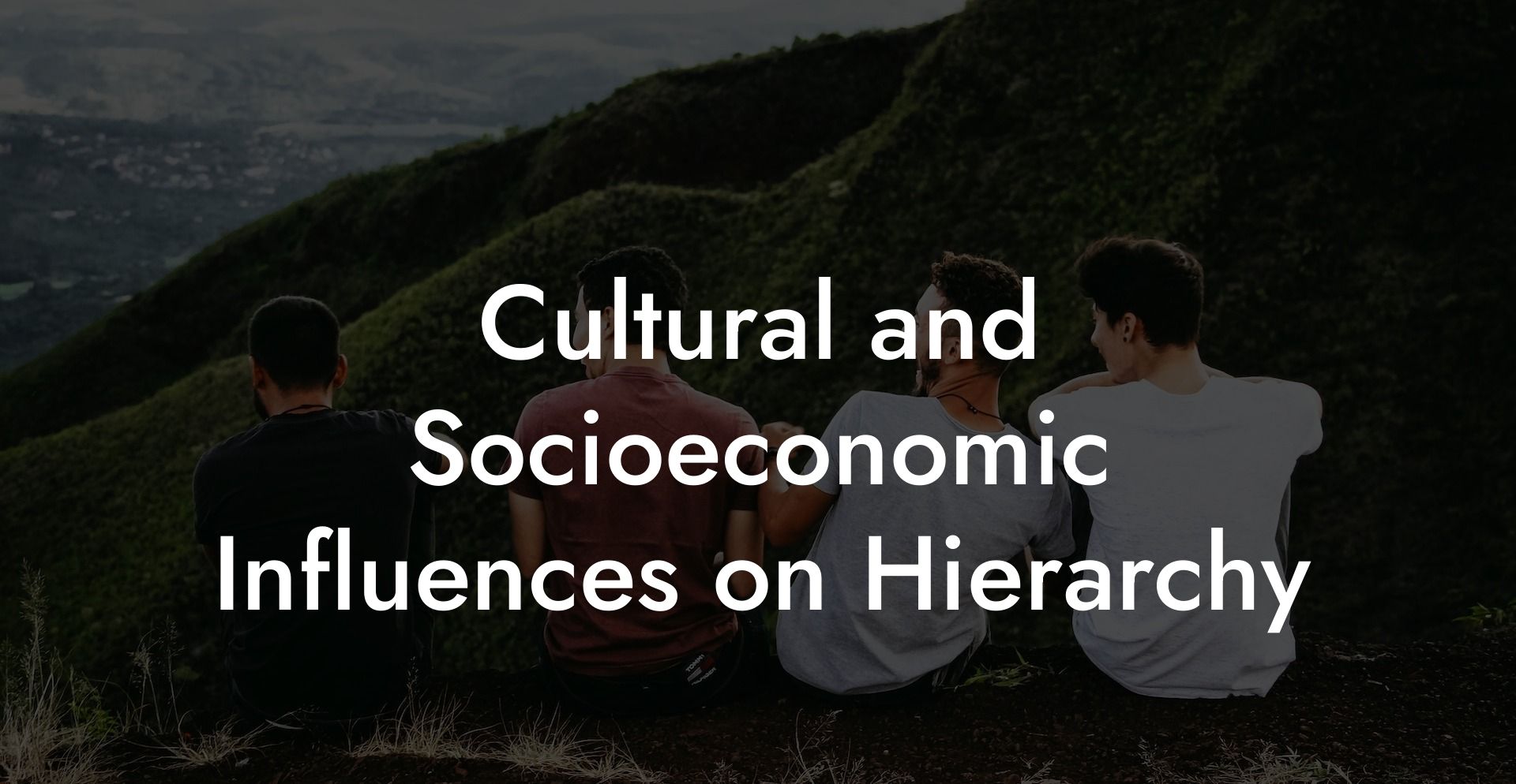 Cultural and Socioeconomic Influences on Hierarchy