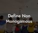 Define Non Monogamous