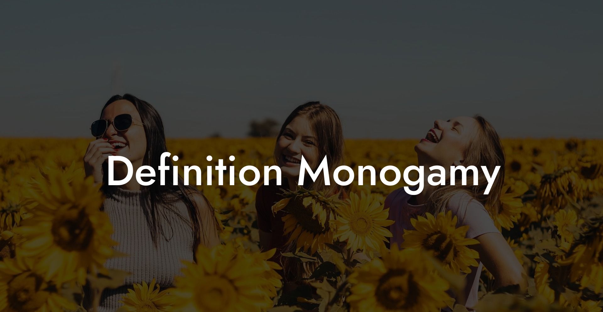 Definition Monogamy