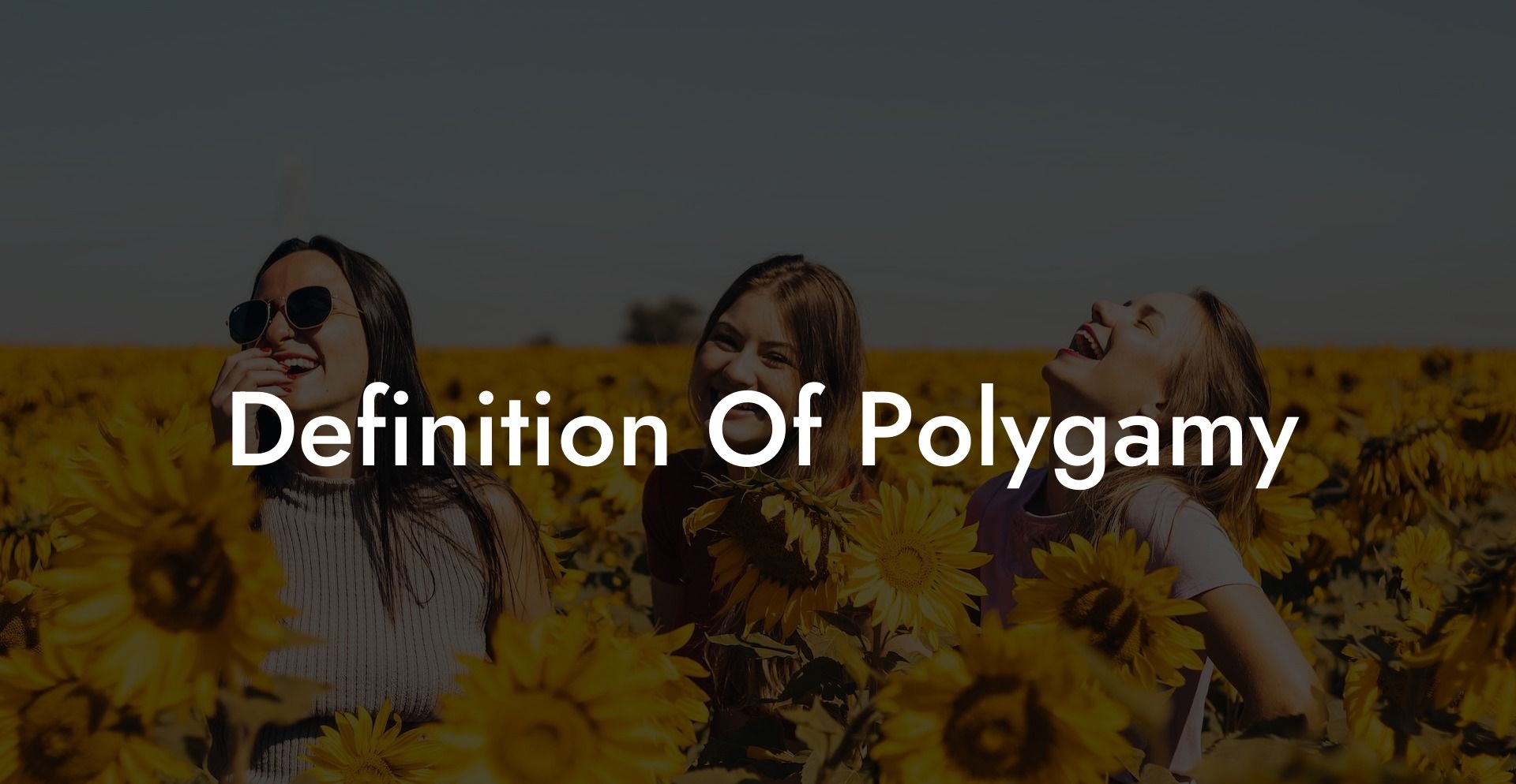 Definition Of Polygamy