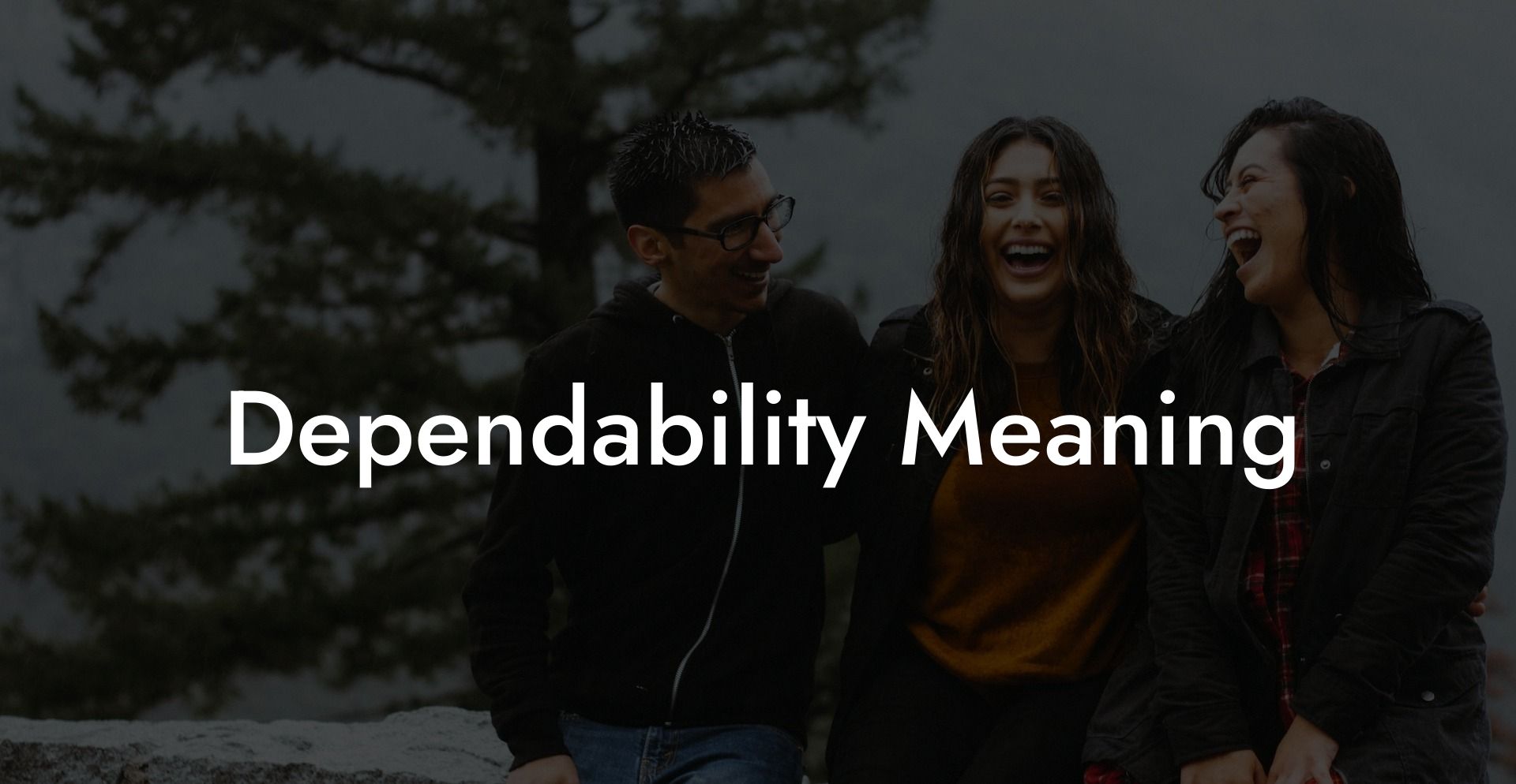 Dependability Meaning