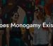 Does Monogamy Exist?
