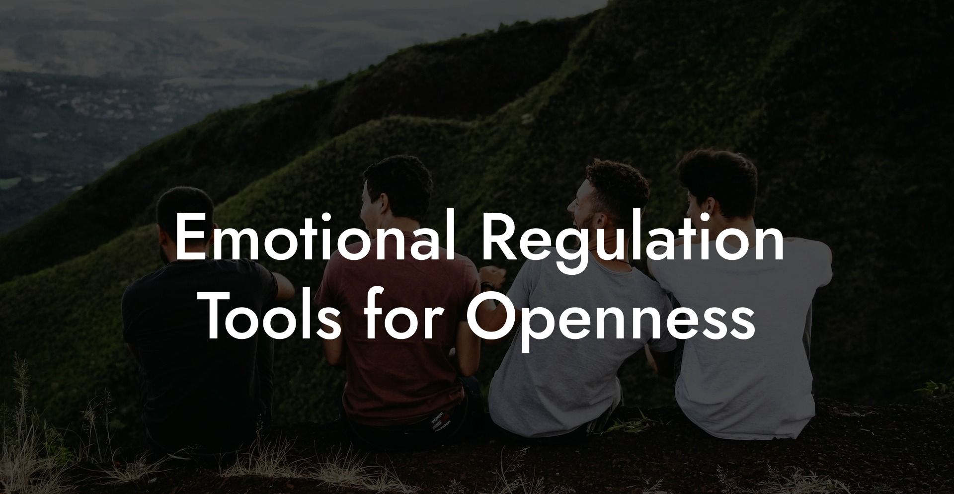 Emotional Regulation Tools for Openness