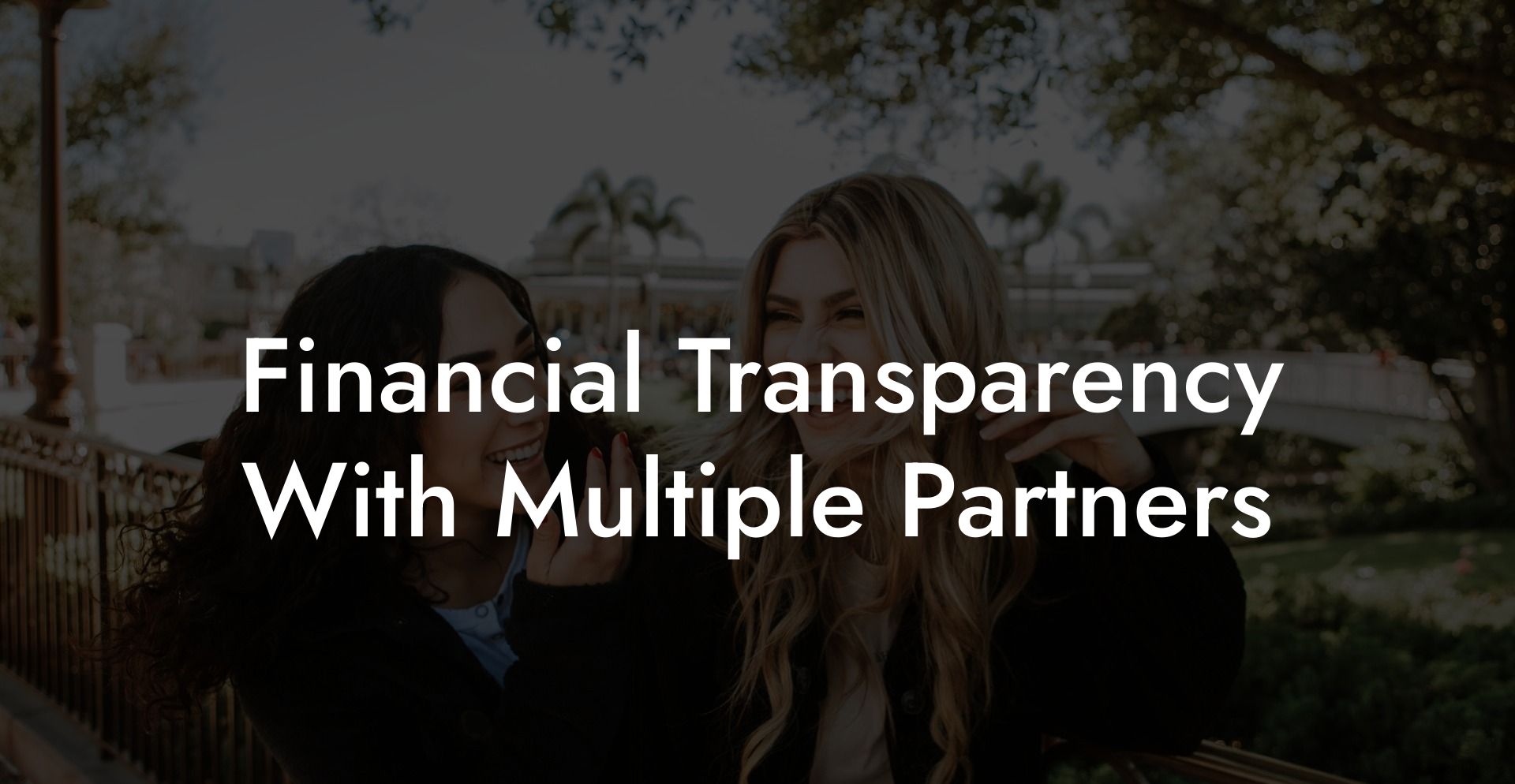 Financial Transparency With Multiple Partners