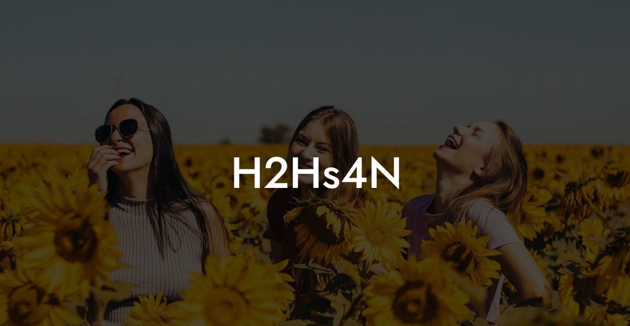 H2Hs4N