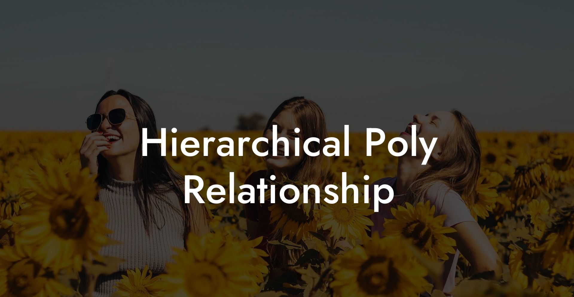 Hierarchical Poly Relationship