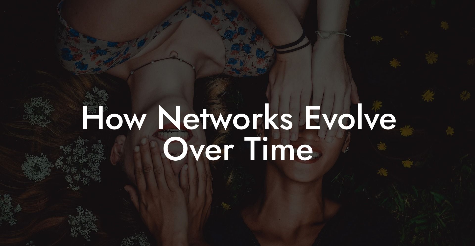 How Networks Evolve Over Time