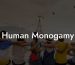 Human Monogamy