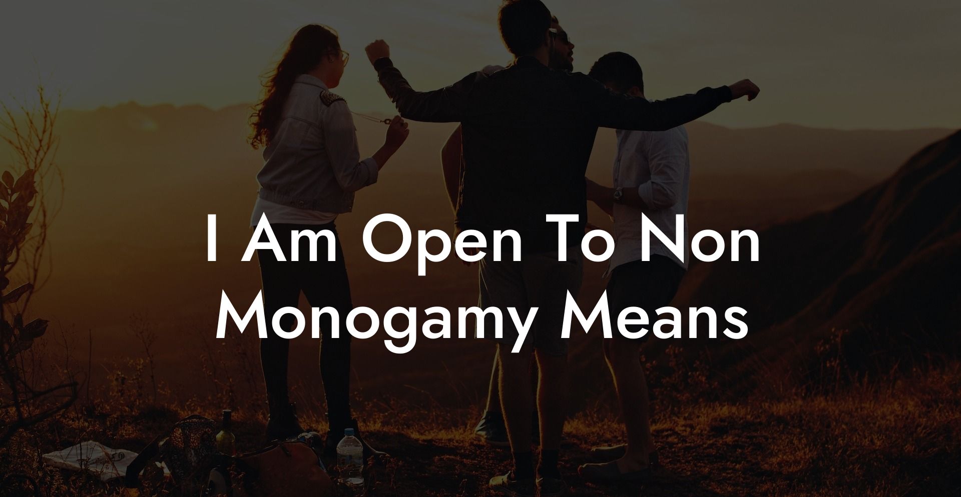I Am Open To Non Monogamy Means