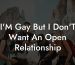 I'M Gay But I Don'T Want An Open Relationship