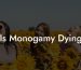 Is Monogamy Dying