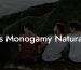 Is Monogamy Natural