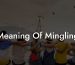 Meaning Of Mingling