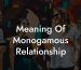 Meaning Of Monogamous Relationship