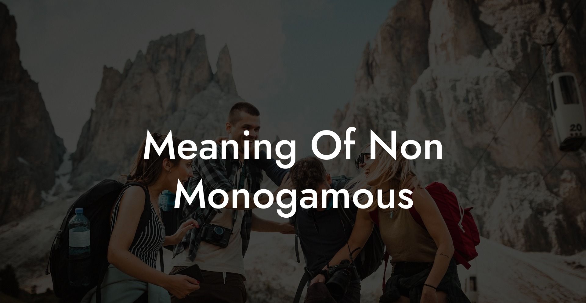 Meaning Of Non Monogamous