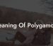 Meaning Of Polygamous