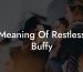 Meaning Of Restless Buffy