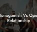 Monogamish Vs Open Relationship