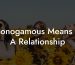 Monogamous Means In A Relationship