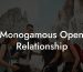 Monogamous Open Relationship