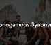 Monogamous Synonyms