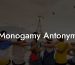 Monogamy Antonym