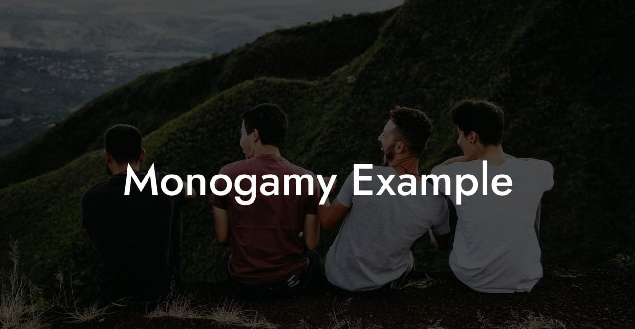 Monogamy Example