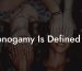 Monogamy Is Defined As