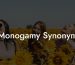 Monogamy Synonym