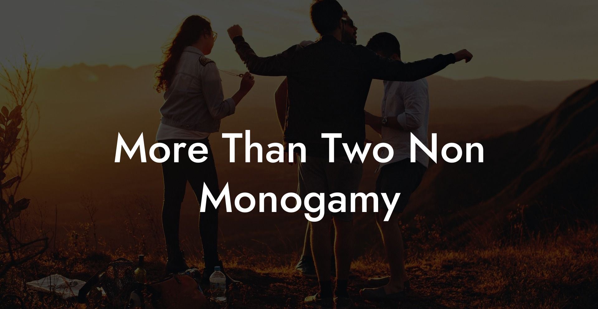 More Than Two Non Monogamy
