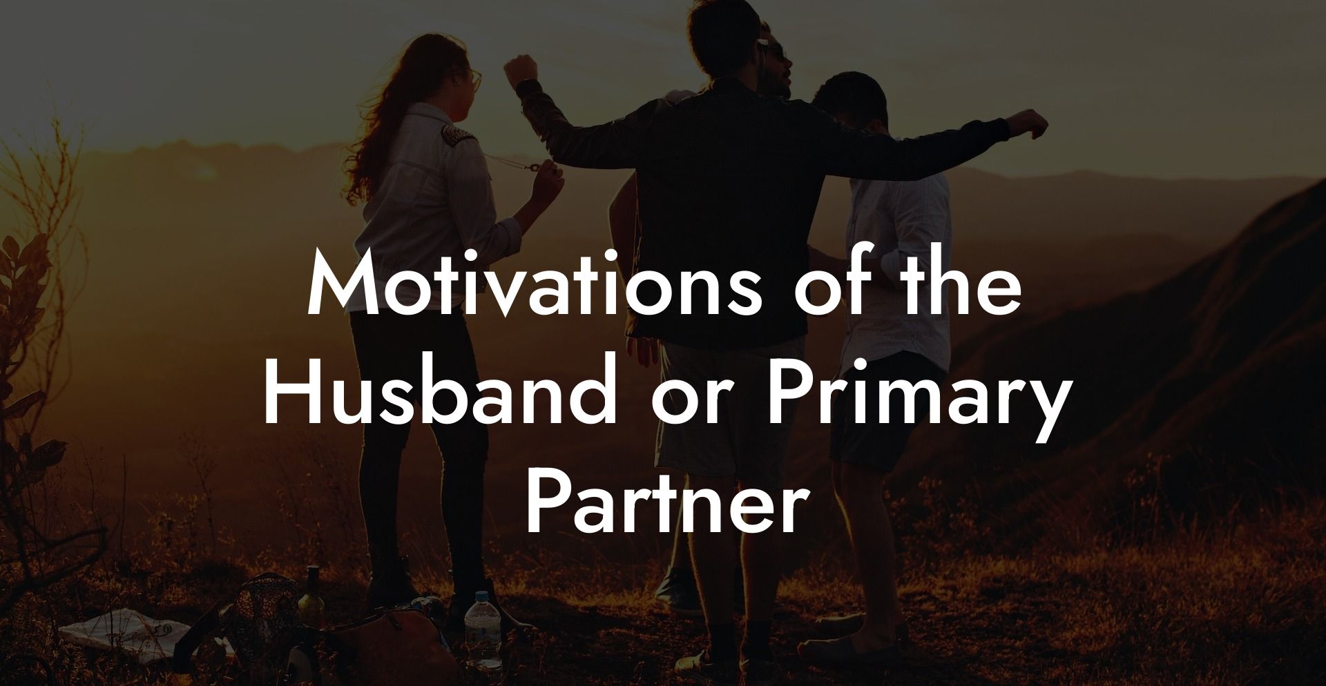 Motivations of the Husband or Primary Partner