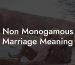 Non Monogamous Marriage Meaning