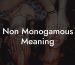 Non Monogamous Meaning