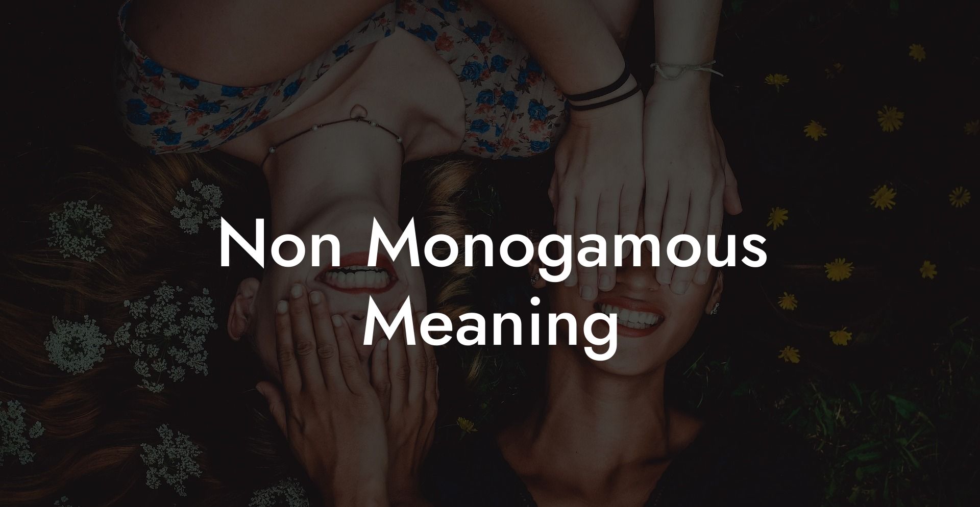 Non Monogamous Meaning