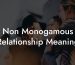 Non Monogamous Relationship Meaning