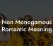 Non Monogamous Romantic Meaning