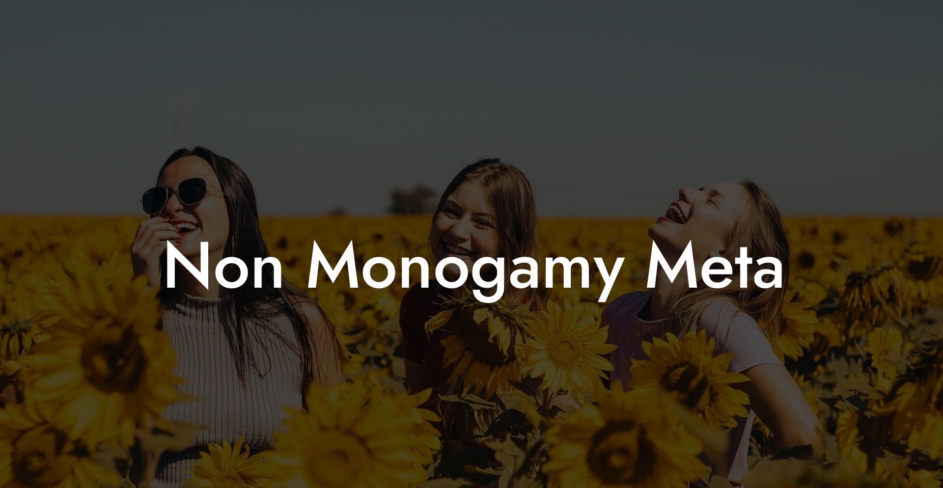 Non Monogamy Meta