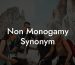 Non Monogamy Synonym