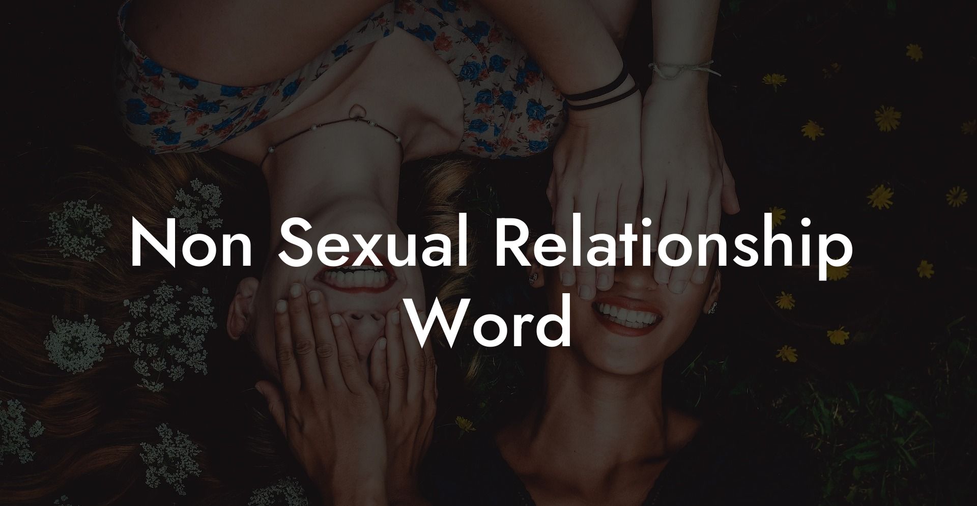 Non Sexual Relationship Word