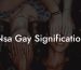 Nsa Gay Signification