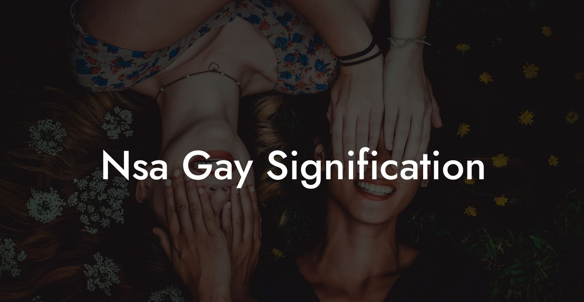 Nsa Gay Signification