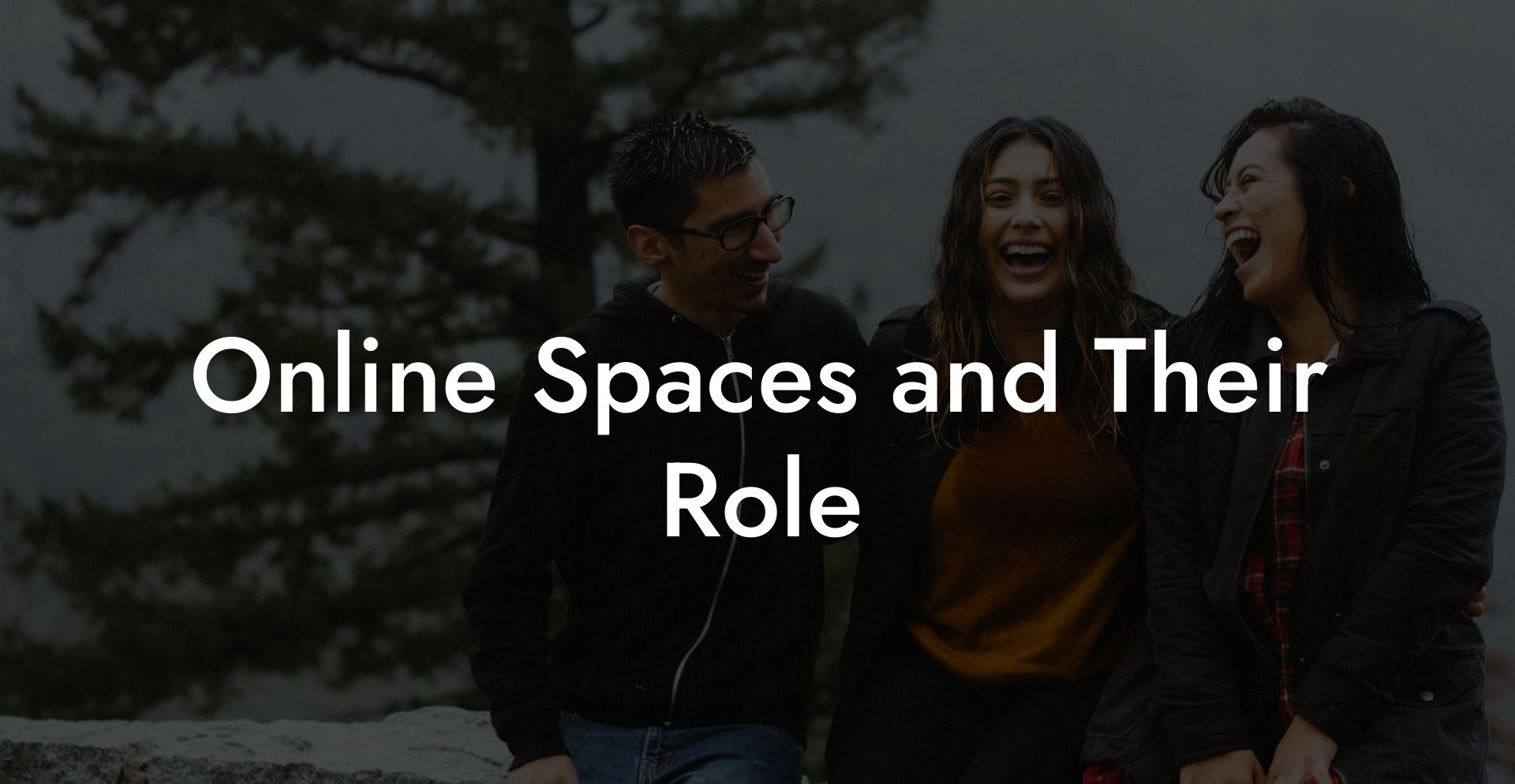 Online Spaces and Their Role